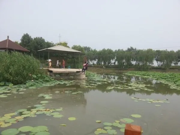 Duoduo Farmstay - Image 1