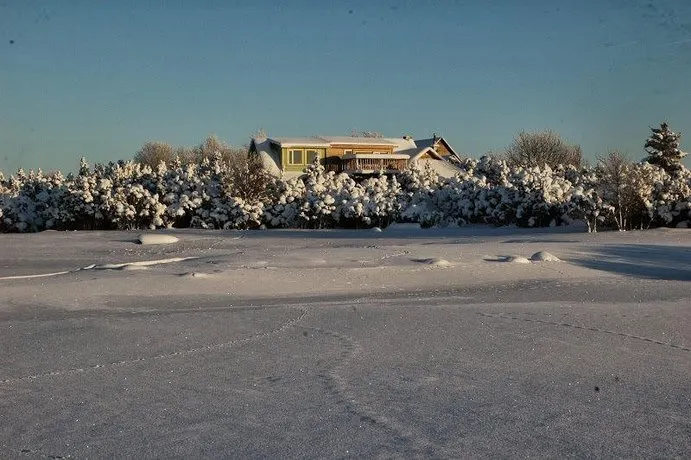 Vana-Tamme Puhkemaja - Image 1