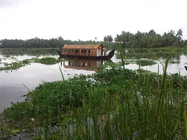 Mangrove Island Village - Image 1