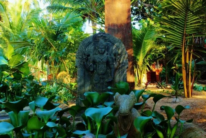 Nirvana Nature - Image 1