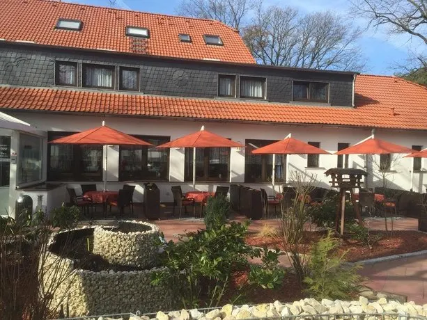 Roter Hahn - Image 1