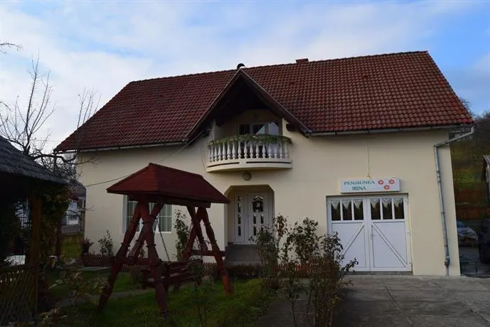 Pensiunea Irina - Image 1