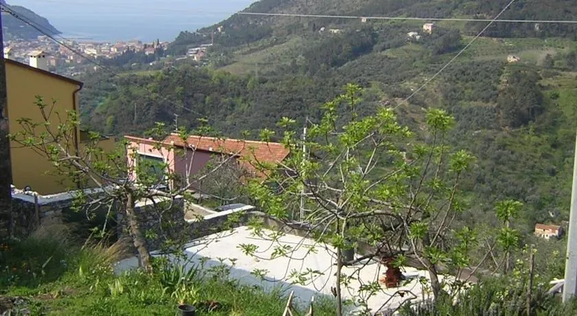 Zia Mari - Image 1