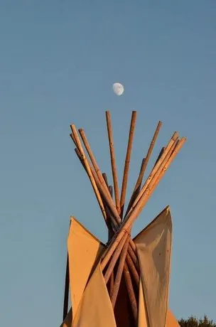 Wakana - Image 1
