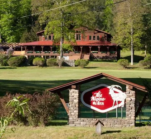 The Alpine Inn - Image 1