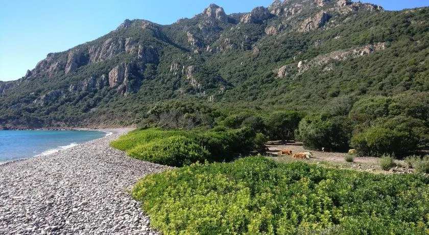 Appartamento fronte mare Perdepera - Image 1