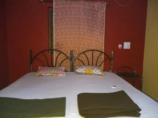 Octopus - Image 1