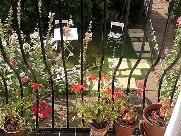 Ivy Cottage - Image 1