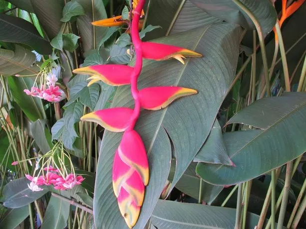 Seaside Homestay - Image 1