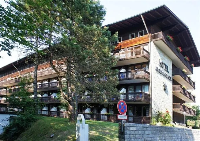 Hotel Dreiburgensee - Image 1