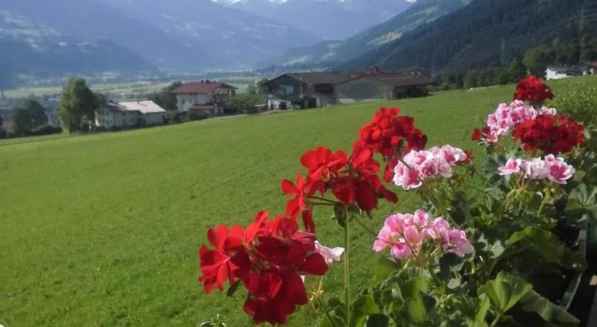 Schorpenhof - Image 1