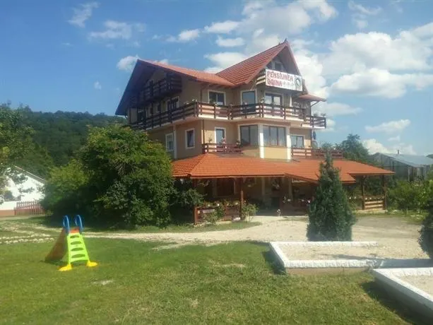 Pensiunea Doina - Image 1