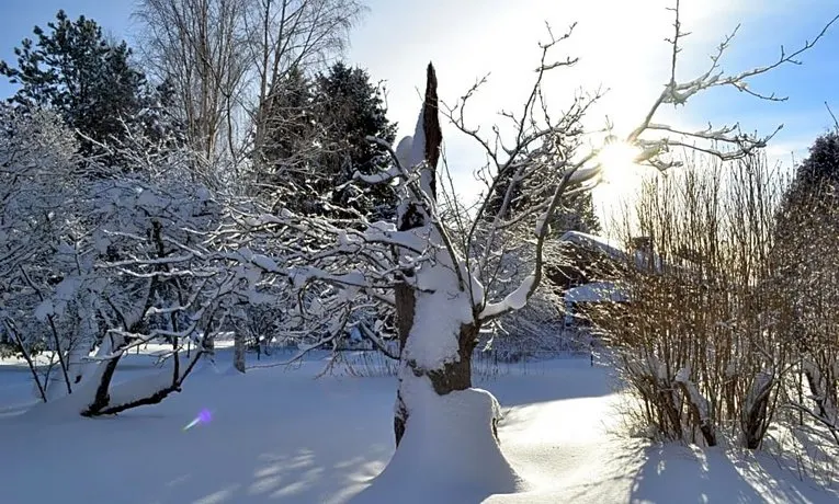 Brunnbacks Bed & Breakfast Dalarna - Image 1