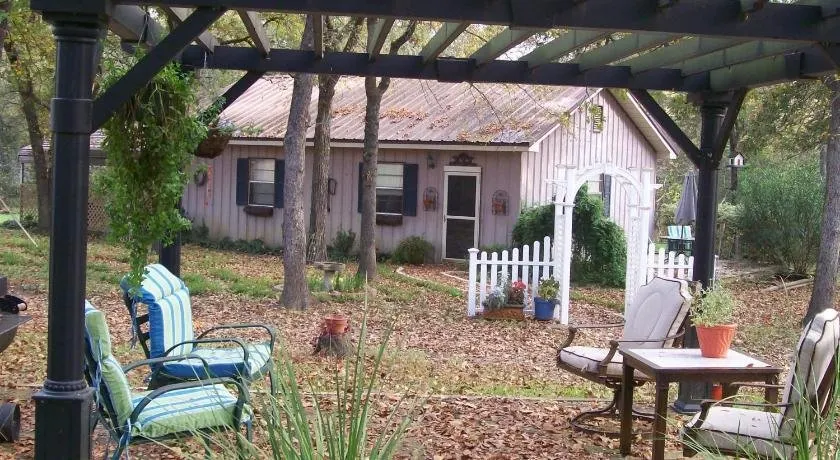 Christmas Tree Farm with Bed and Breakfast accommodations located on a 12 acre propertyin the Peaceful Countryside between Bryan and Hearne Tx - Image 1