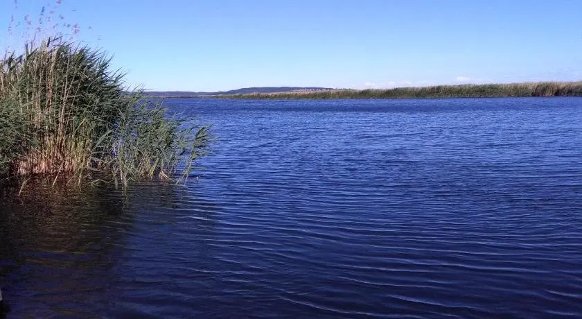 SłonecznyDom (SunnyHome) w Łunowie - Image 1