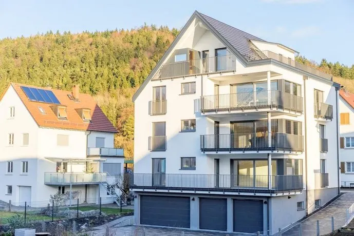 L19 Tuttlingen - Image 1