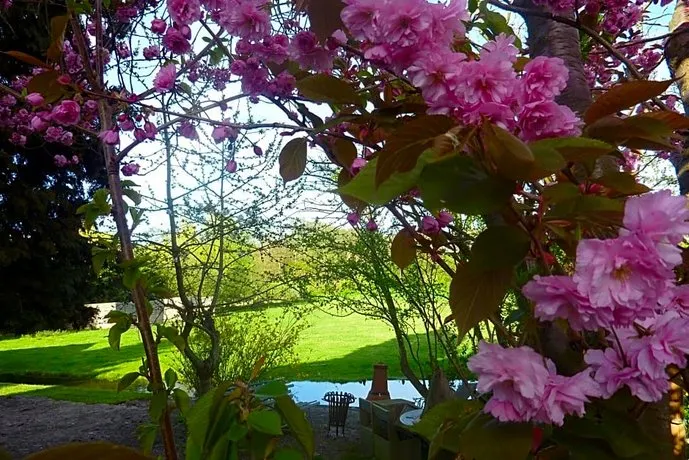 B&B Bloom - Image 1
