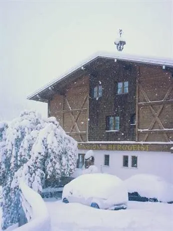 Pension Berggeist - Image 1