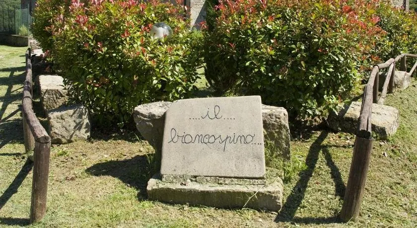 Villa Biancospino - Image 1