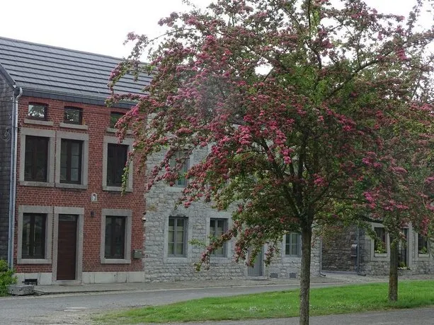La Balade D'annie - Image 1