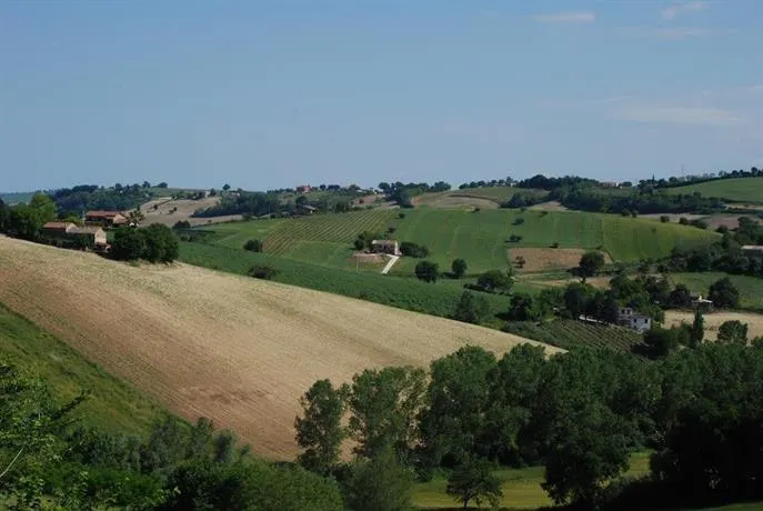 Profumo Delle Marche - Image 1