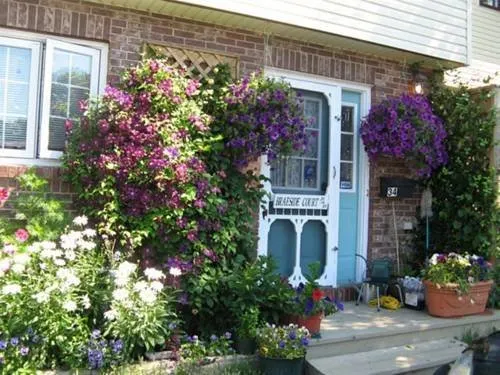 Braeside Court B&B - Image 1