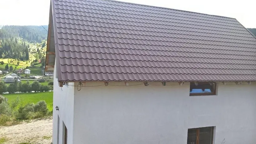Vila Bucovina - Image 1