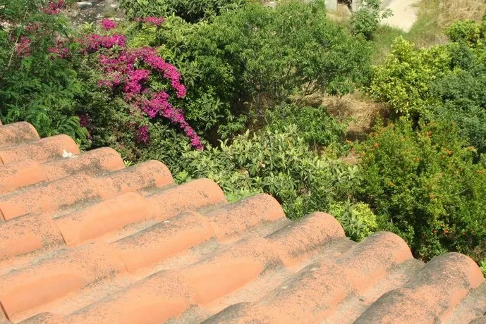 La Terrazza - Image 1