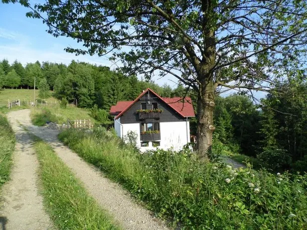 Kocia Górka - Image 1