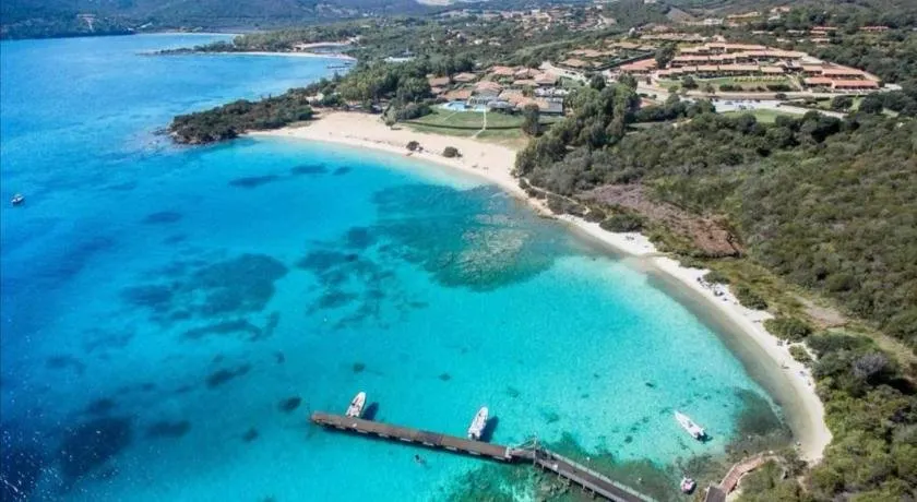Nido di mare - Image 1
