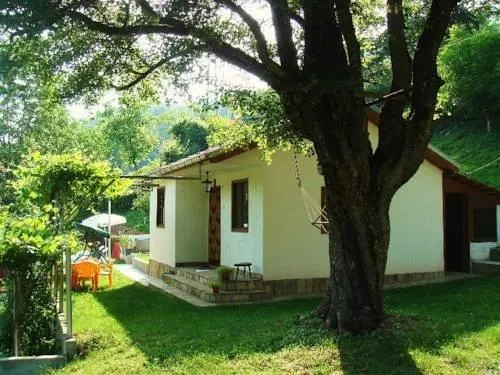 House Lomar - Image 1