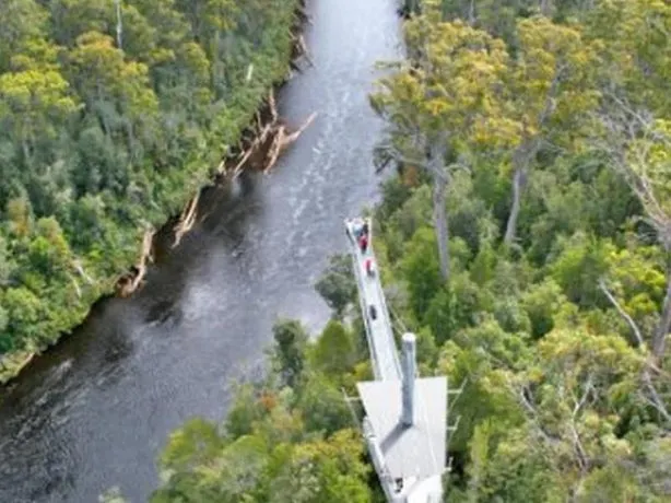 Tahune AirWalk Lodge - Image 1