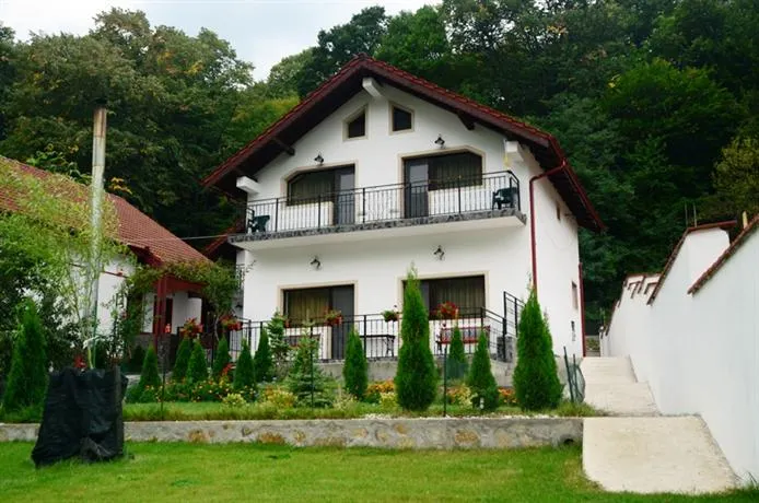 Pensiunea Casa Natura - Image 1