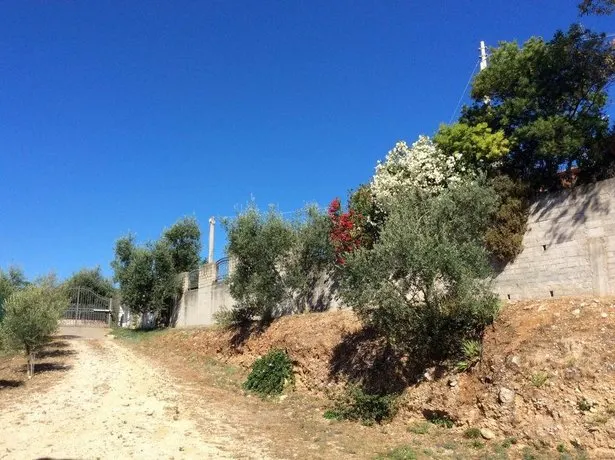 Holiday Home Villa Tiziana Bellevue - Image 1