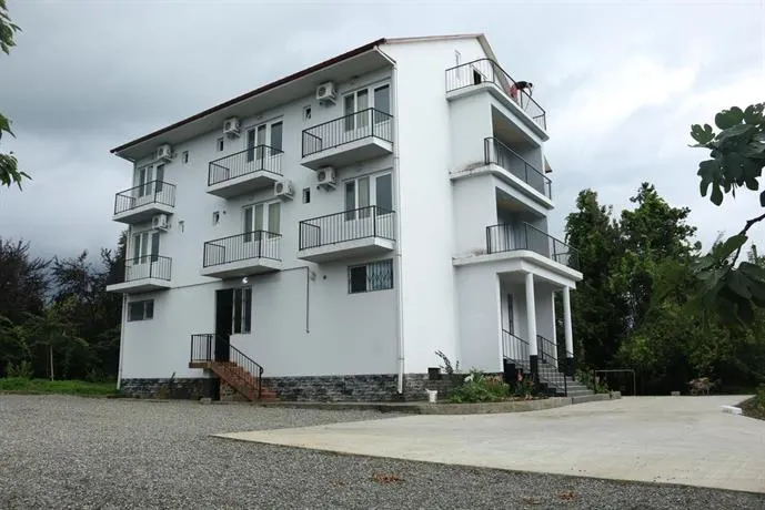 Kamelia - Image 1