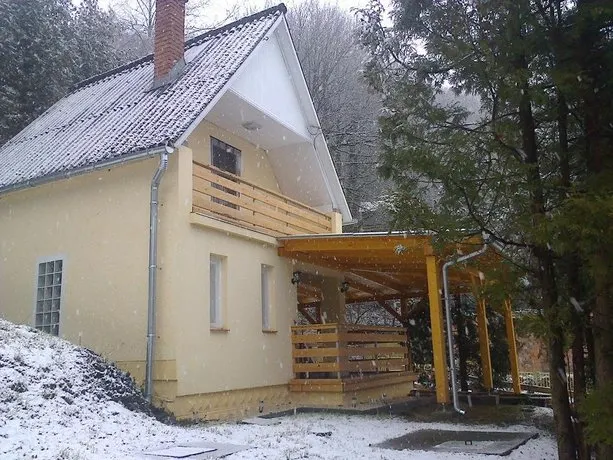 Borostyán Vendégház - Image 1