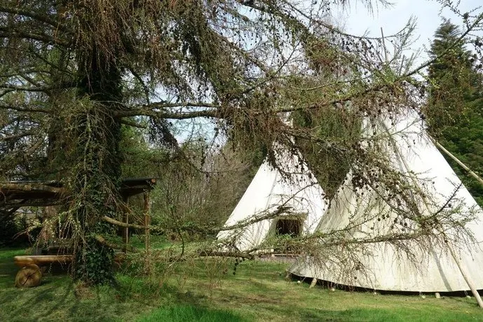 Levaltipis - Image 1