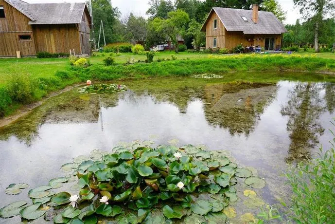 Piza Guest House & Campsite - Image 1
