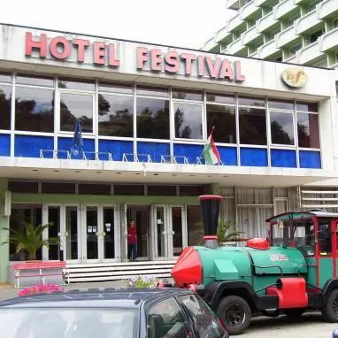 Festival - Image 1