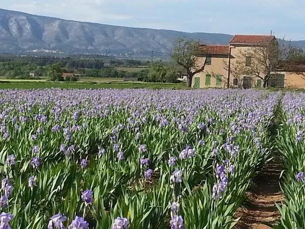Villa Proche d'Aix-en-Provence - Image 1