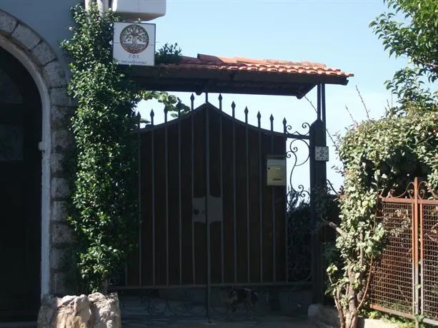 Da Zoe - Image 1