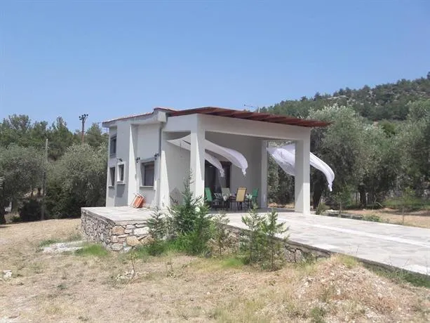 Angelena - Image 1