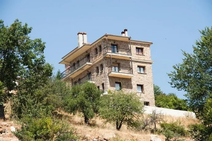 Petrino Pentolvio - Image 1