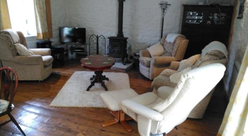 cwmddol fawr cottage - Image 1