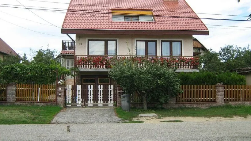 Misi's 6-bedroom Family House - Image 1