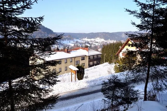 Hotel Pension Waldbaude - Image 1