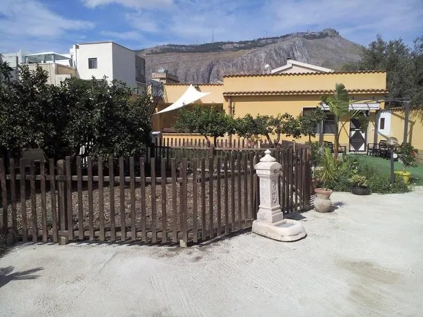 Shusciu - Image 1