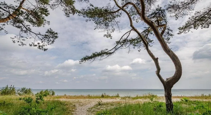 Fewo Prora - Ostsee Bernstein - Image 1