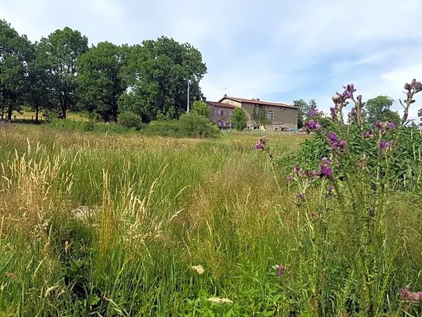 Domaine Des Pierres Davélie - Image 1
