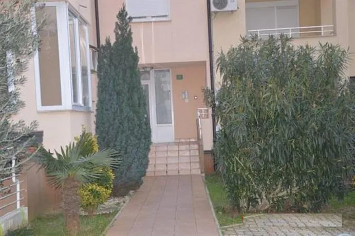 Pula Stinjan Puntizela - Image 1